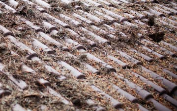 Gratton roof cleaning companies